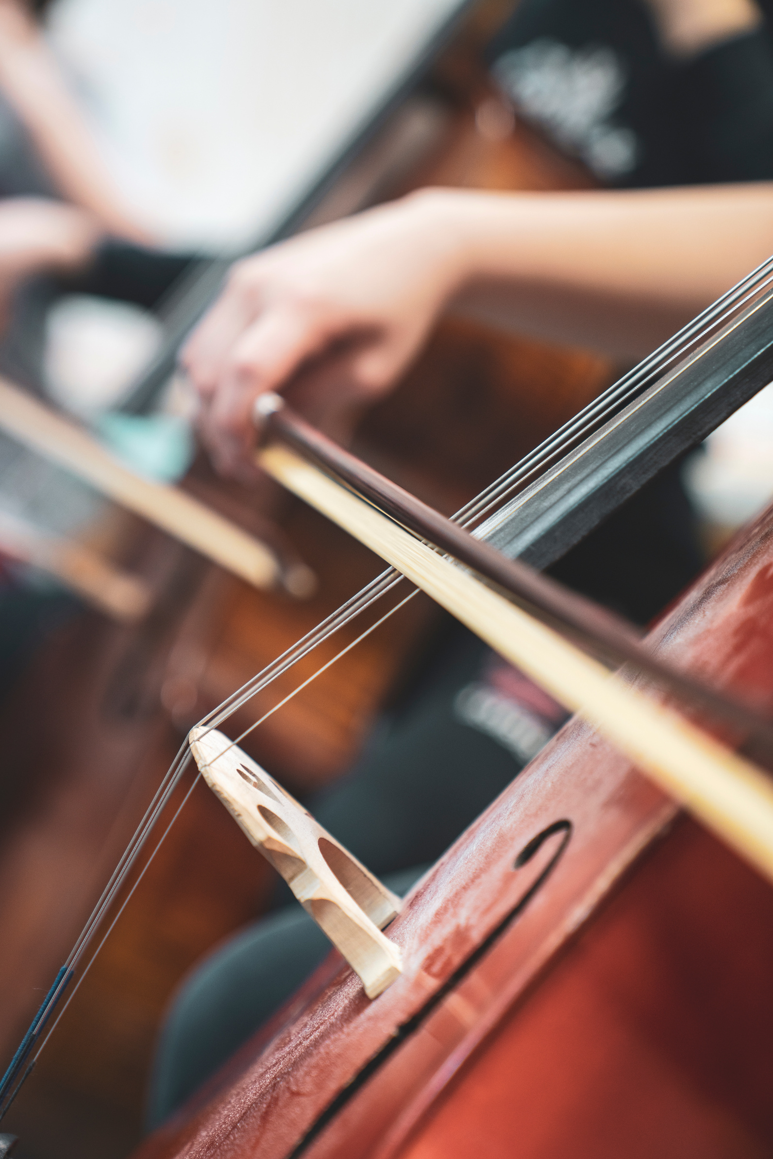 Cello player performing